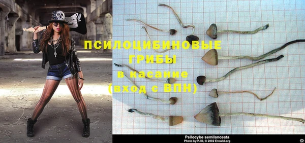 MESCALINE Приозерск