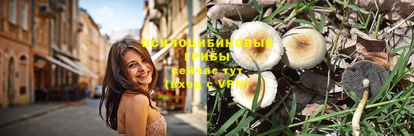 МДПВ Пролетарск