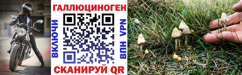 Галлюциногенные грибы GOLDEN TEACHER  Богданович 